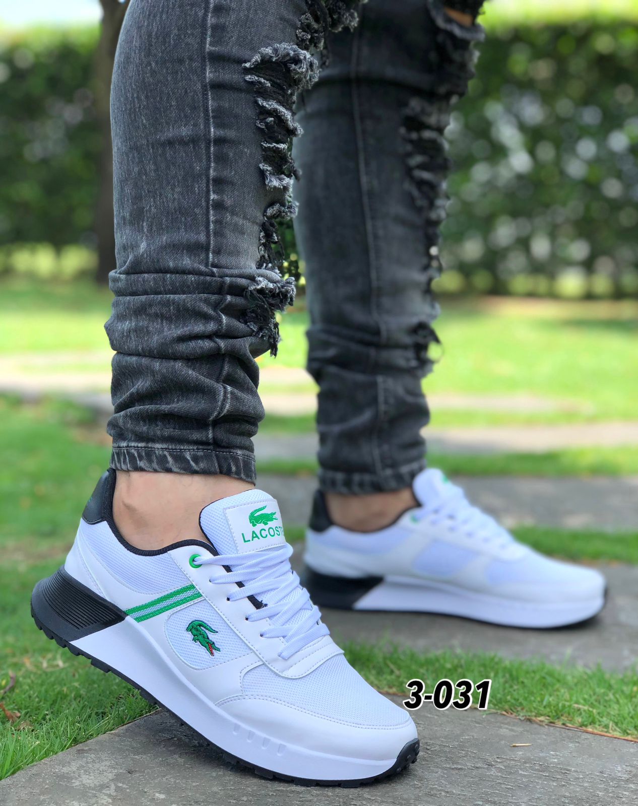 Lacoste deportivo para caballero